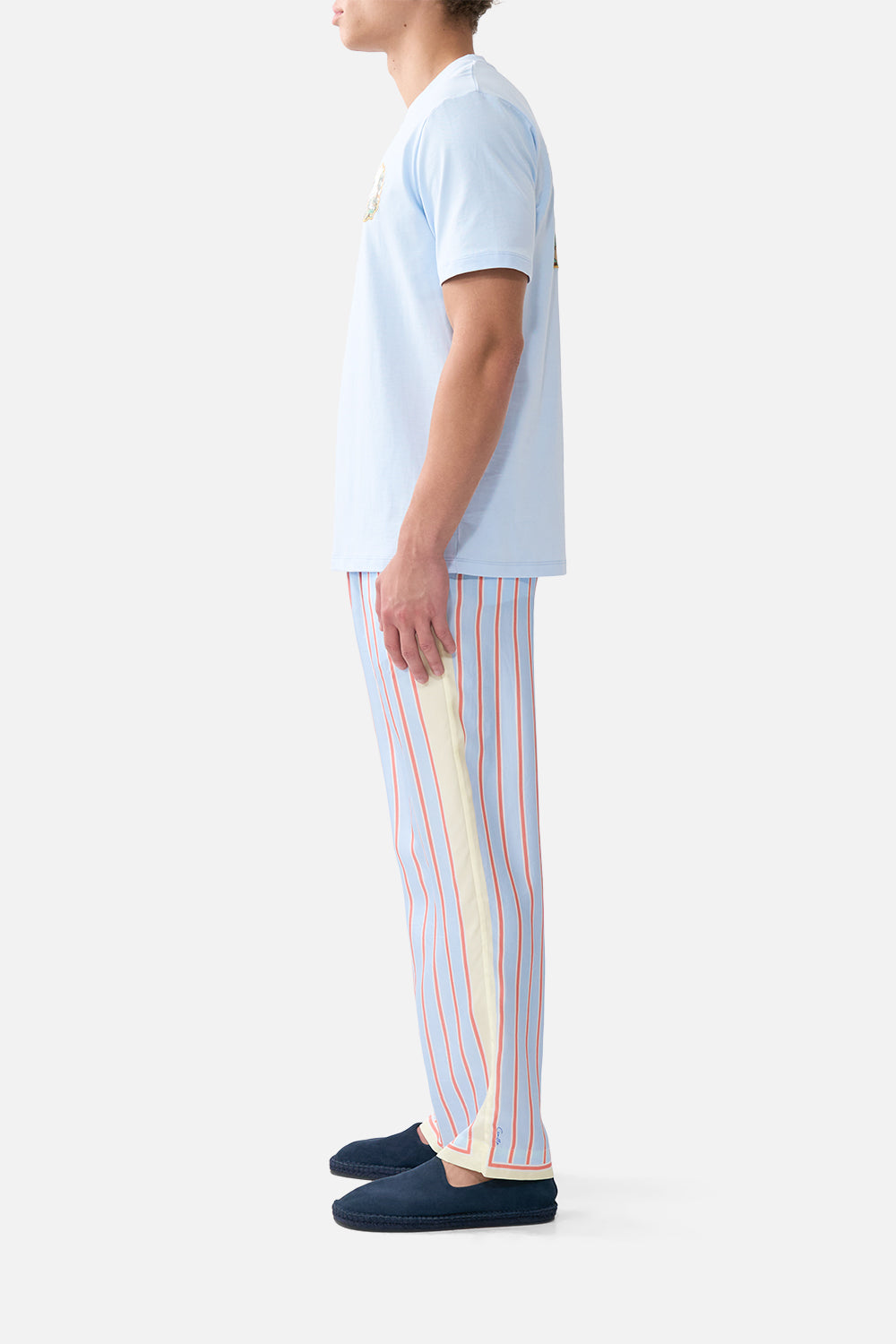 RELAXED HEAVYWEIGHT CREW NECK TEE BOTANICAL BALLADS