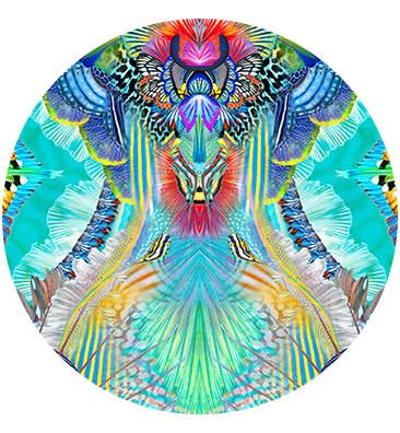 REEF WARRIOR