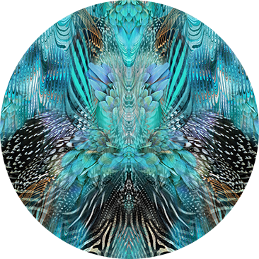 AZURE ALLURE