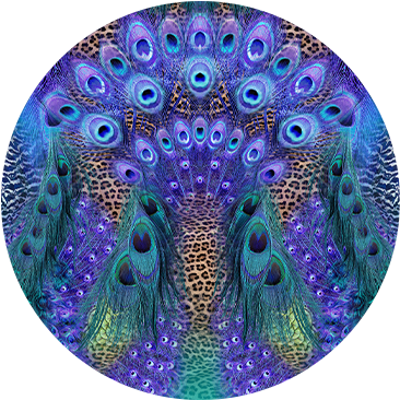 PEACOCK ROCK