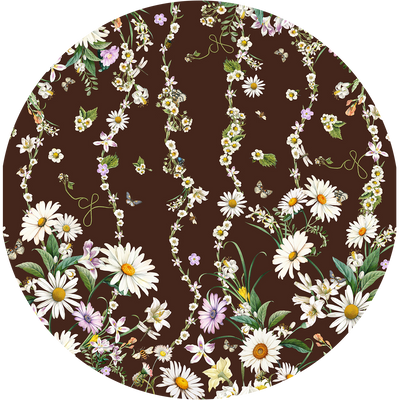 CRÈVE L'ABCÈS, DAISY