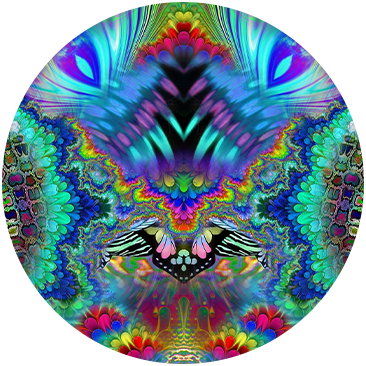 HIPPIE DÉCHAÎNÉ