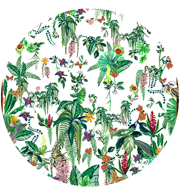 DAINTREE DARLING