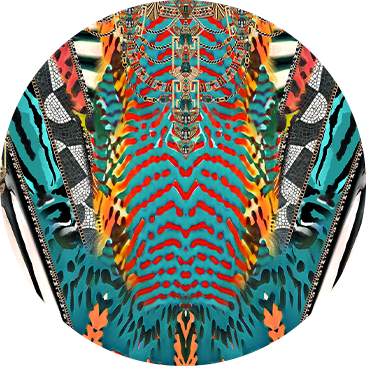 VISIONS DU DÉSERT