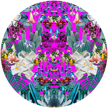 EXOTICA EROTICA
