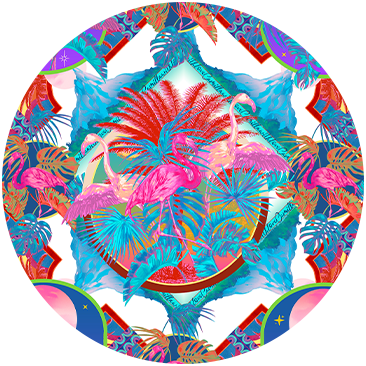 FLAMENCO FLAMANT