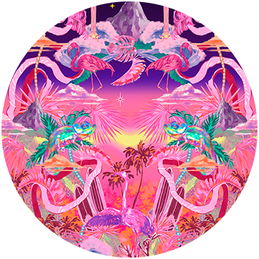 L'ENVOL DU FLAMANT ROSE