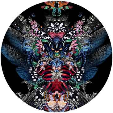 PAPILLONNER
