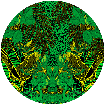 GORILLA GROOVE