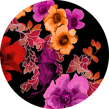 COQUELICOT DE MINUIT