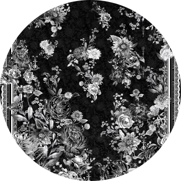 ÉCLOSION DE CLAIR DE LUNE