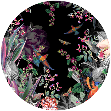 PARADISO PLACE