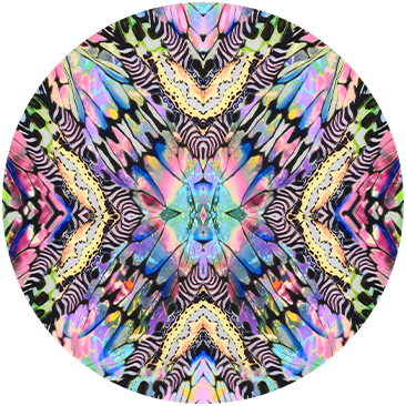 TRANCE TEMPTATION