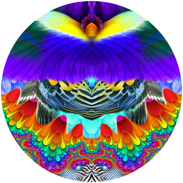 RASSEMBLEMENT RAINBOW