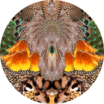 SURREALIST XANADU