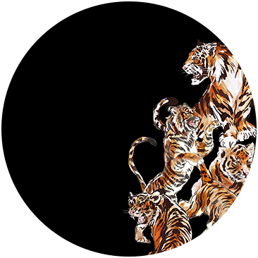 TIGER TALK