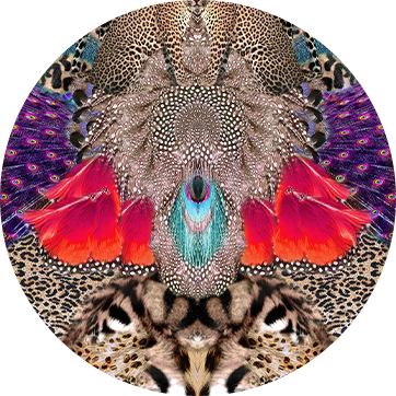 XANADU RISING