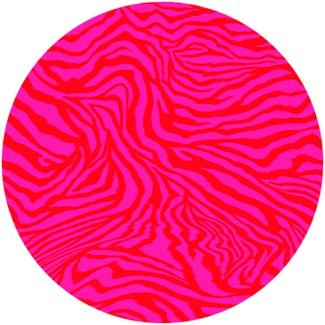 ZEBRA ZONE