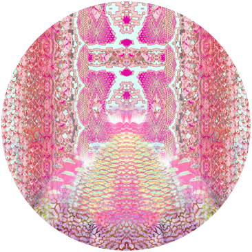 SERPENTINE DREAMS