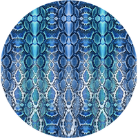 THE SAPPHIRE SERPENT
