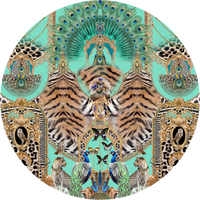 CASE OF CURIOSITIES