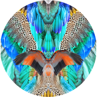 JUNGLE FLIGHT