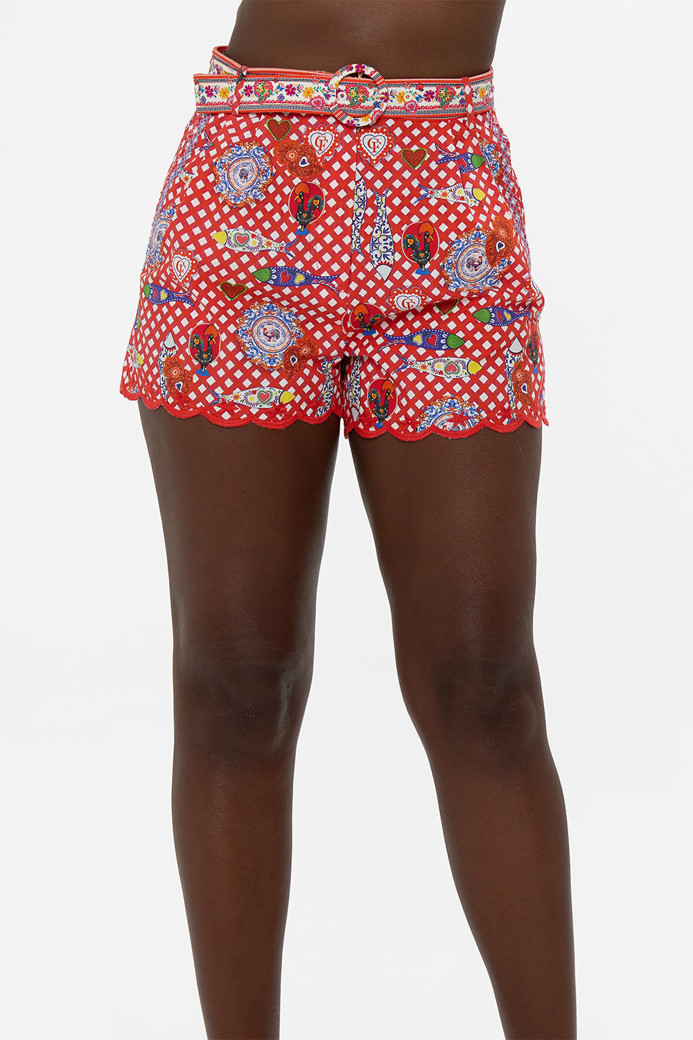 The CAMILLA CORSET DRESS WITH SHORT FLARED SKIRT AZUL ADVENTURES in our  print.