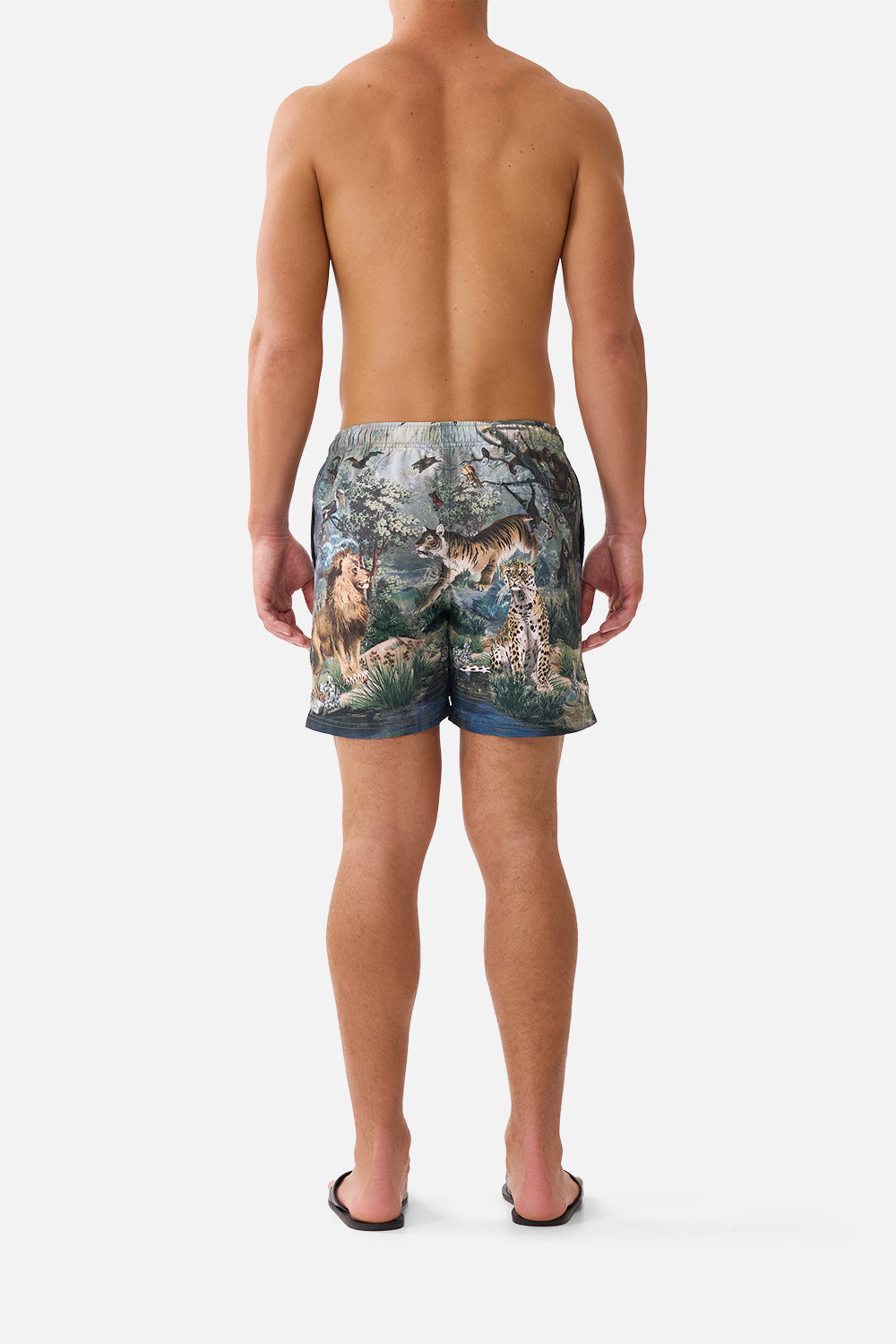 The CAMILLA Mid Length Boardshort with Elastic Waist Animals in the Palace in our Animals in the Palace print.